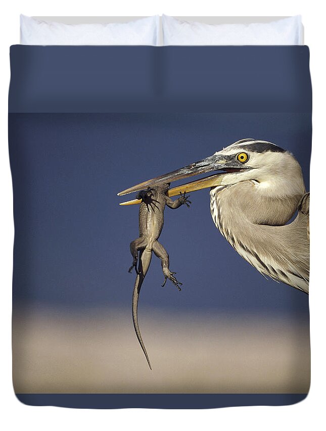 00141249 Duvet Cover featuring the photograph Great Blue Heron Ardea Herodias Preying by Tui De Roy