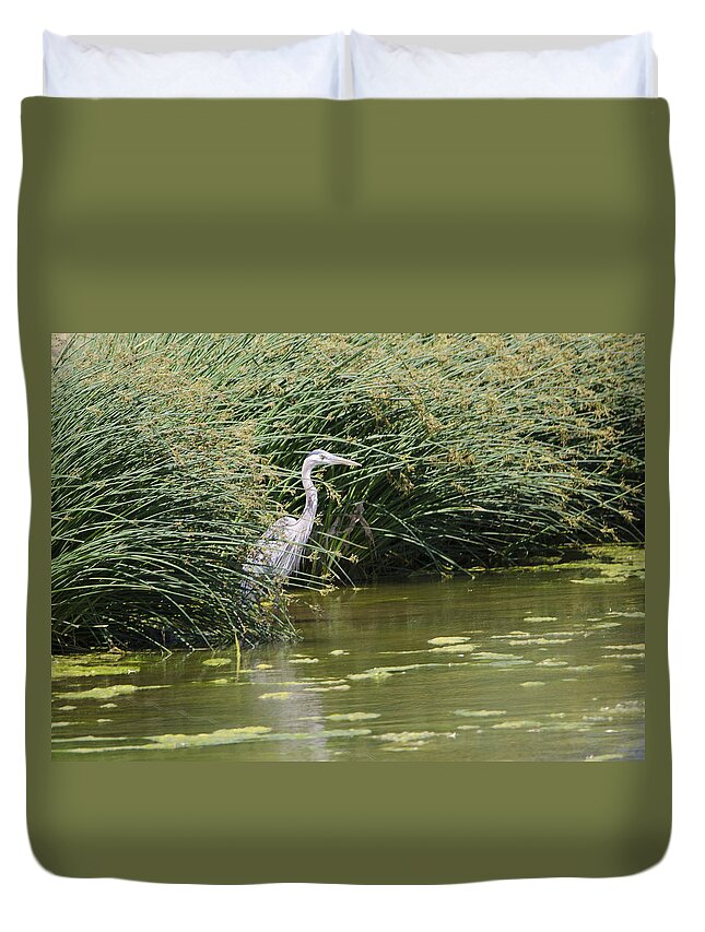 Bird Duvet Cover featuring the photograph Great Blue Heron by Donna Greene
