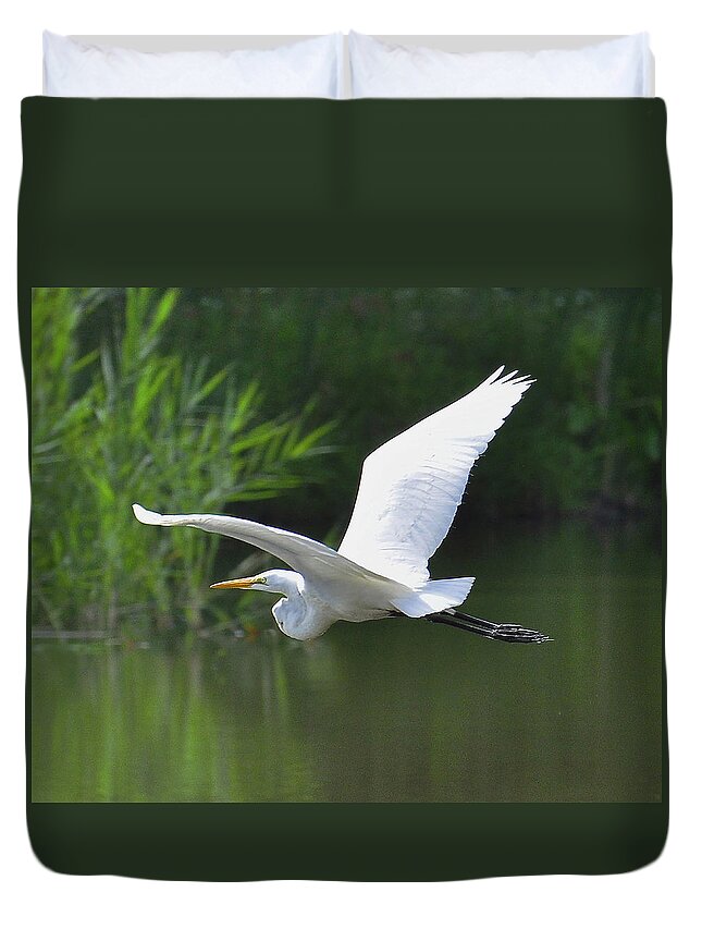 Great Egret Duvet Cover featuring the photograph Great Egret  by Rodney Campbell