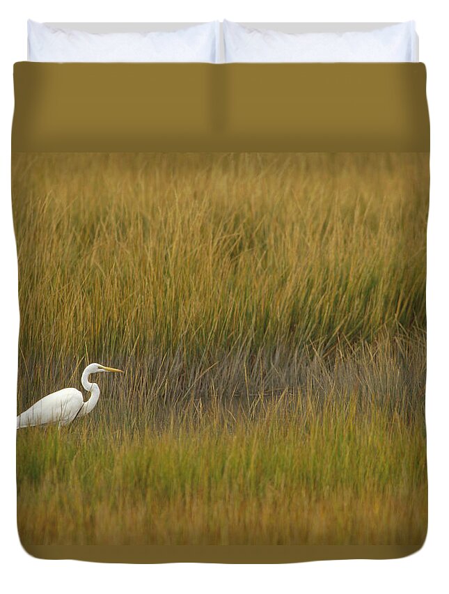 Animal In Landscape Duvet Cover featuring the photograph Great Egret Ardea Alba Amid Marsh by Gerry Ellis
