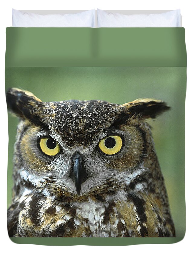 00117463 Duvet Cover featuring the photograph Great Horned Owl Bubo Virginianus by Zssd