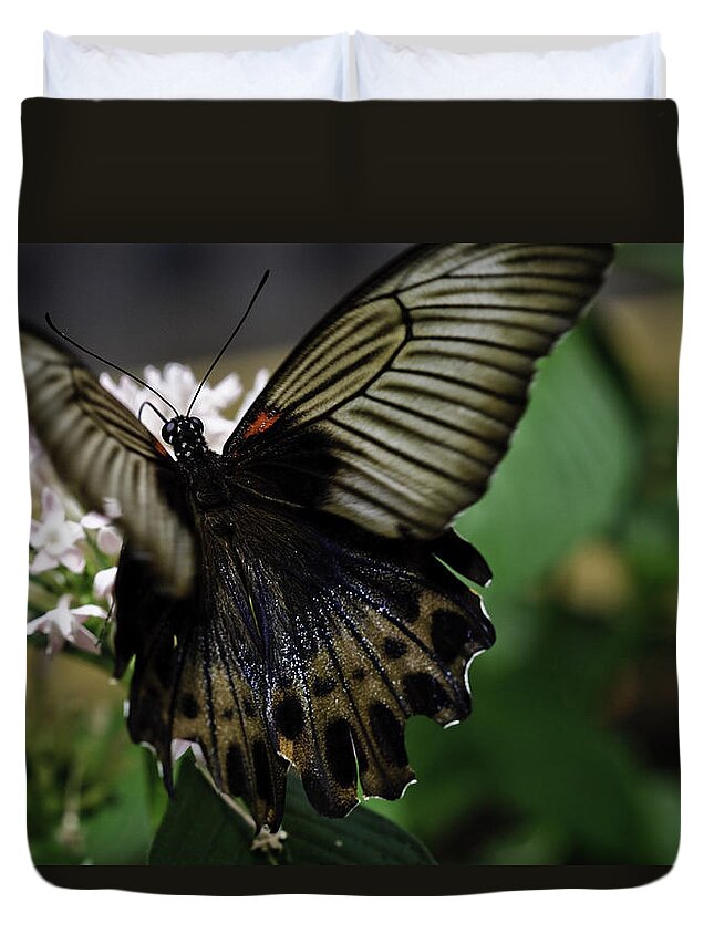 Great Mormon Duvet Cover featuring the photograph Great Mormon Butterfly by Perla Copernik