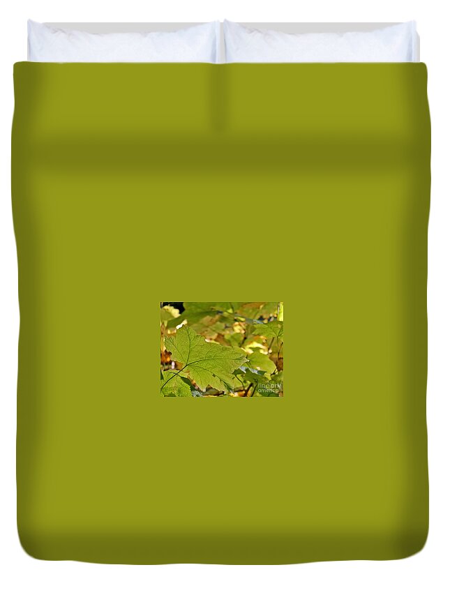 Leaves Duvet Cover featuring the photograph Green Leaves by Leone Lund