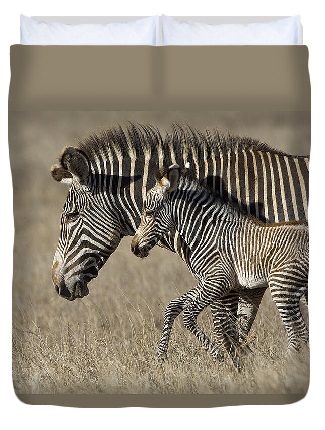 00438570 Duvet Cover featuring the photograph Grevys Zebra And Foal Lewa Wildlife by Suzi Eszterhas