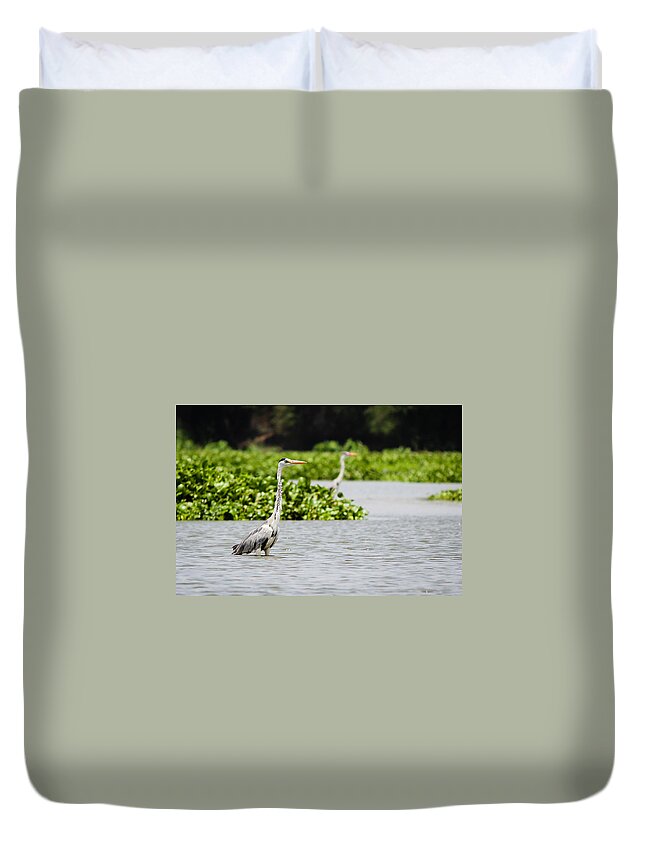 Grey Heron Duvet Cover featuring the photograph Grey Heron by SAURAVphoto Online Store