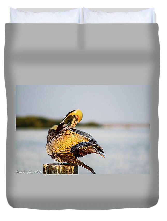 Pelican Duvet Cover featuring the photograph Grooming Pelican by Shannon Harrington