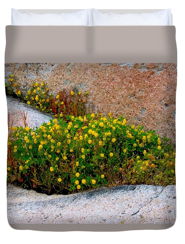 Rock Duvet Cover featuring the photograph Growing in the Cracks by Brent L Ander