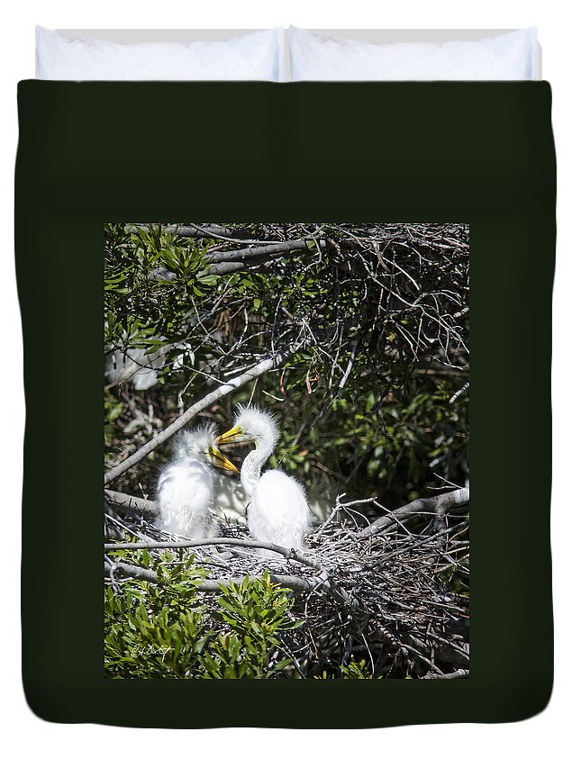Beaufort County Duvet Cover featuring the photograph Growing Nestlings by Phill Doherty