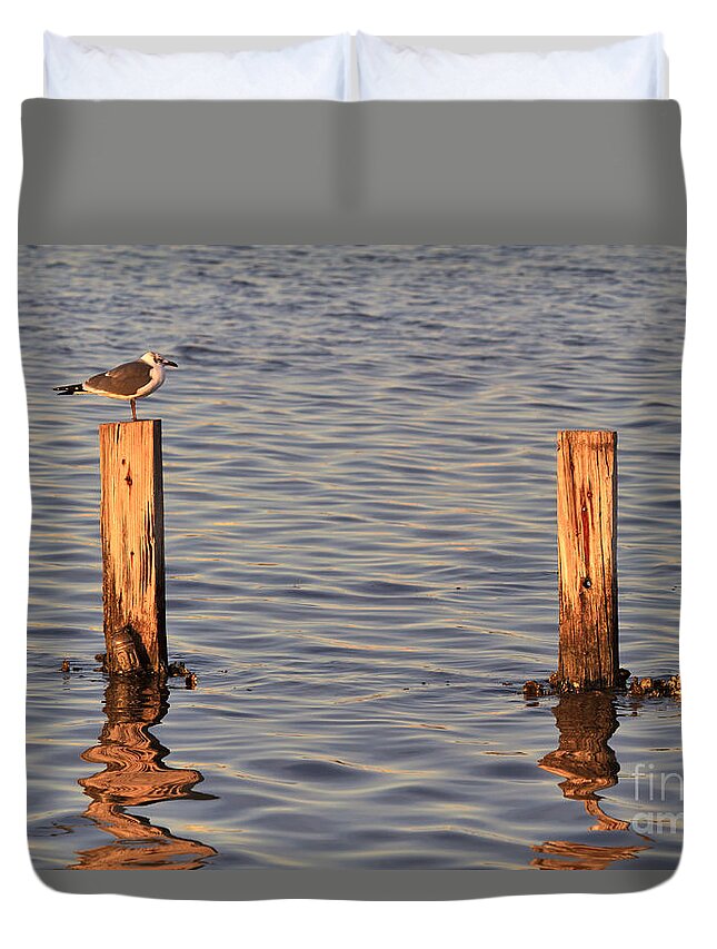 Gull Duvet Cover featuring the photograph Gull at Sunset by Louise Heusinkveld