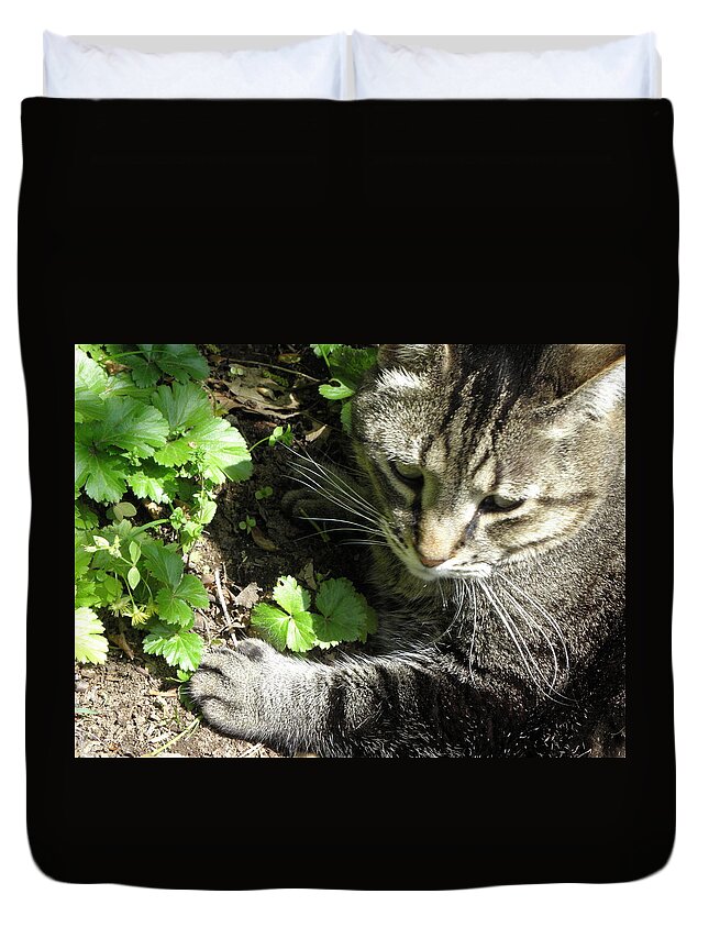 Cat Duvet Cover featuring the photograph Happy its Spring by Kim Galluzzo