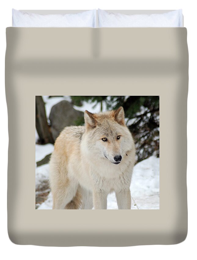 Wolf Duvet Cover featuring the photograph Happy Wolf by Richard Bryce and Family