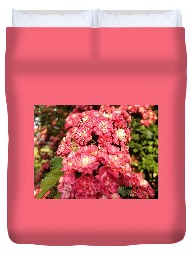 Hawthorne Duvet Cover featuring the photograph Hawthorn Flowers by Chriss Pagani