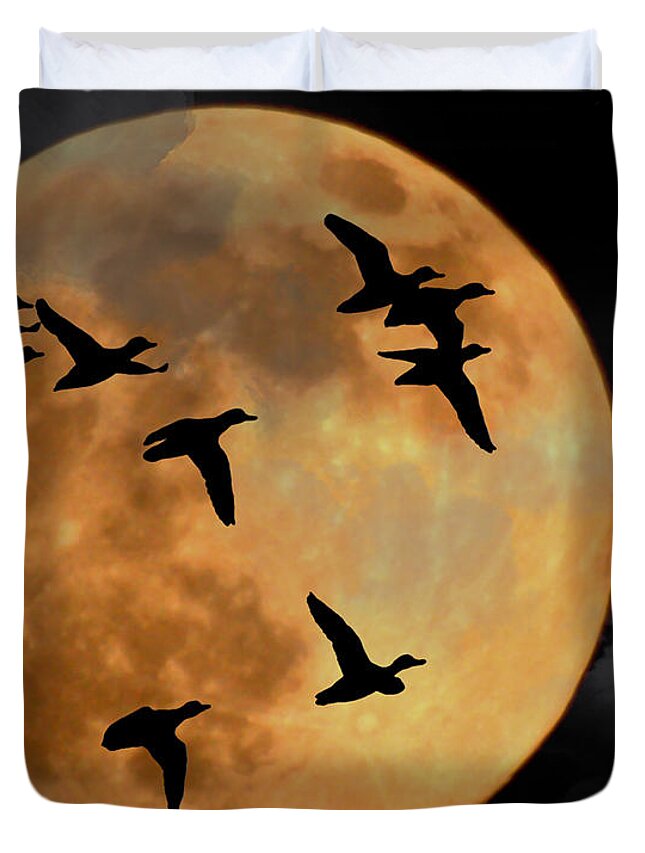 Full Moon Duvet Cover featuring the photograph Headed South by Ken Frischkorn