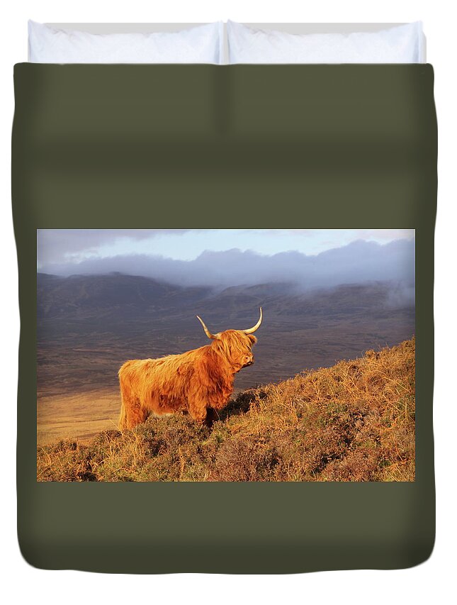 Highland Duvet Cover featuring the photograph Highland Cattle Landscape by Bruce J Robinson