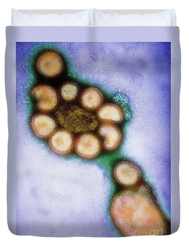 Influenza Virus Duvet Cover featuring the photograph Hong Kong Flu Viruses by Science Source