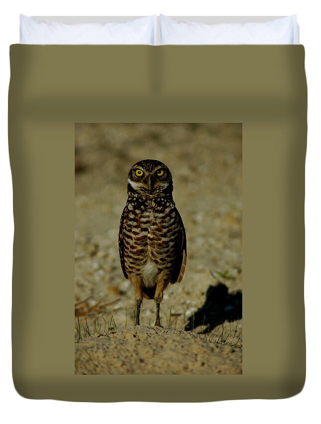 Owl Duvet Cover featuring the photograph Hoo Are You? by David Weeks