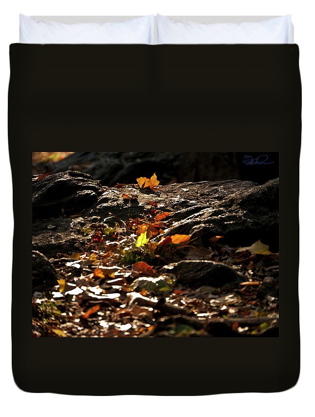 Beauty Duvet Cover featuring the photograph How We Should Leave... by S Paul Sahm
