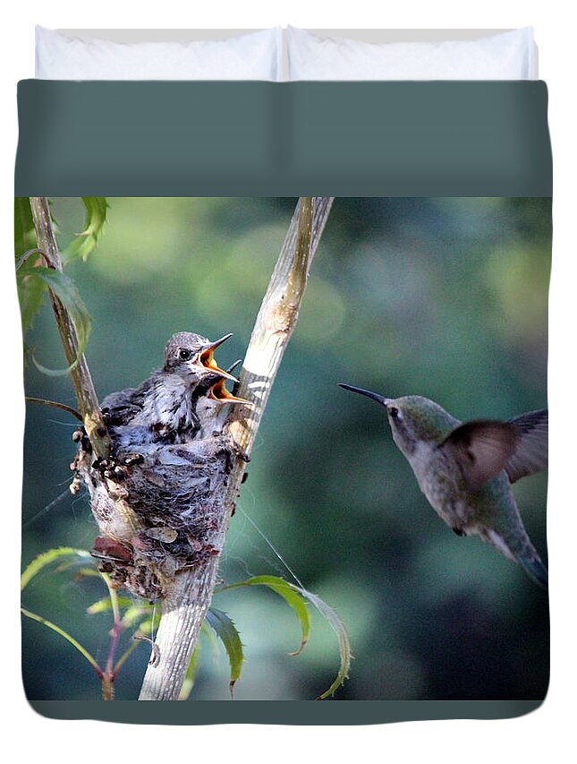 Birds Duvet Cover featuring the photograph Hurry Mom by Jo Sheehan