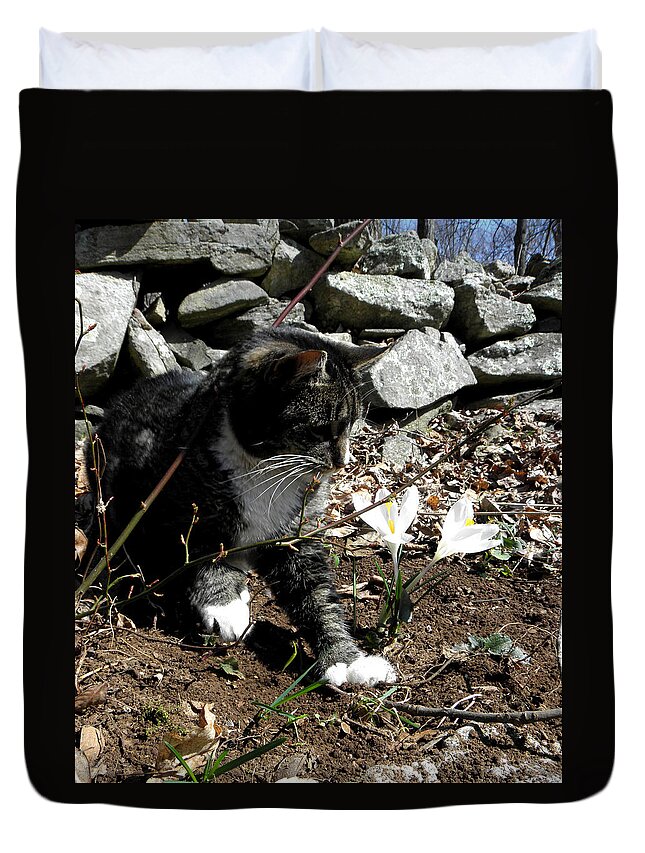 Kitty Duvet Cover featuring the photograph I got the bug Mom by Kim Galluzzo