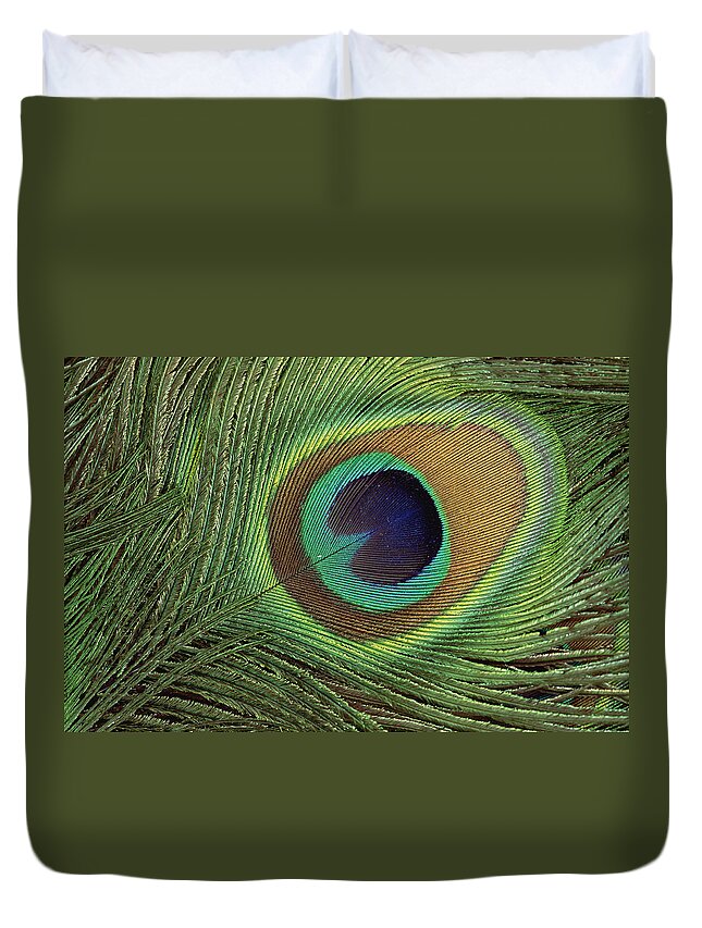 Mp Duvet Cover featuring the photograph Indian Peafowl Pavo Cristatus Display by Gerry Ellis