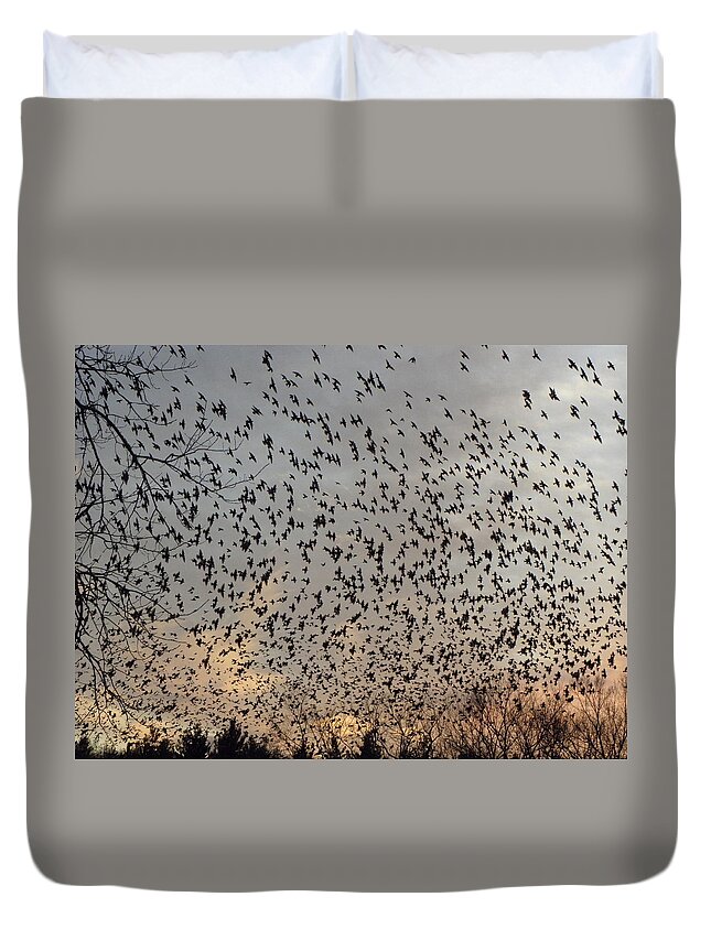 Starlings Duvet Cover featuring the photograph Invasion Of The Birds by Kim Galluzzo