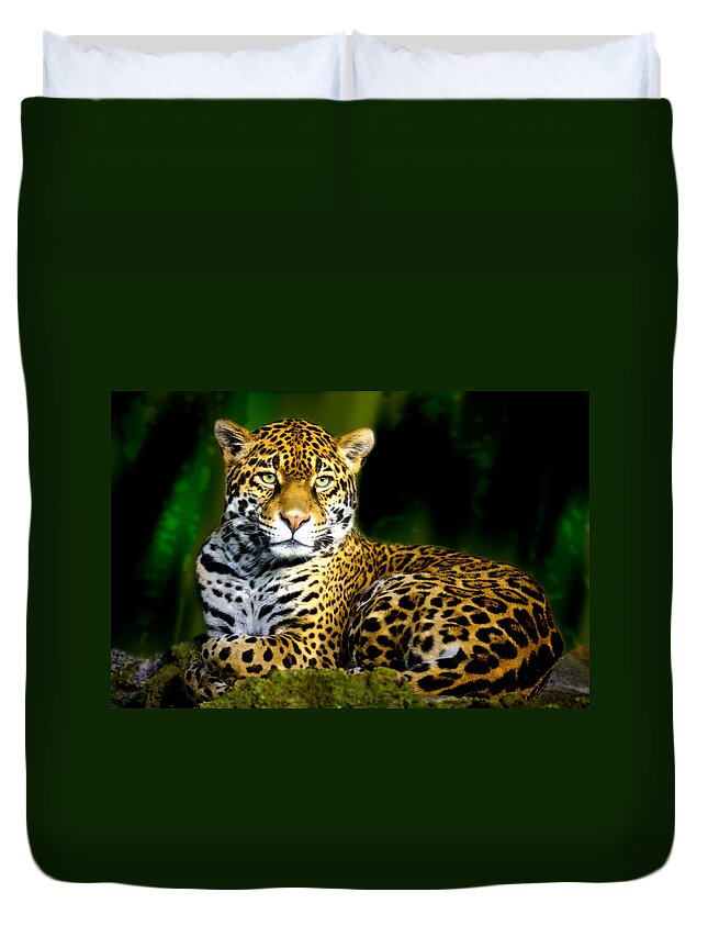 Animal Duvet Cover featuring the photograph Jaguar by Jarrod Erbe