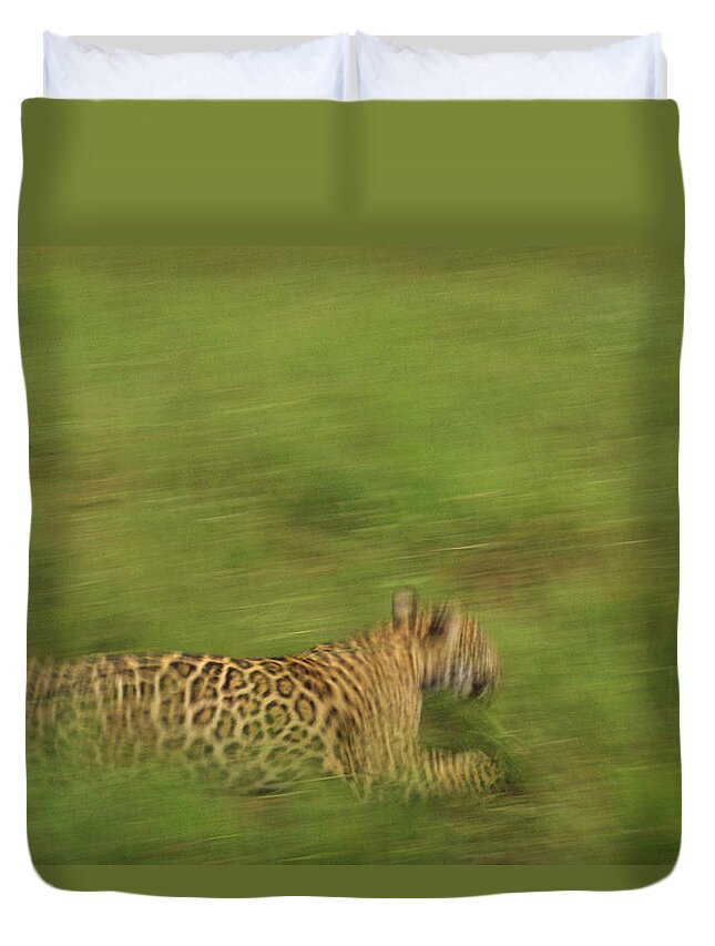 Mp Duvet Cover featuring the photograph Jaguar Panthera Onca Running by Claus Meyer