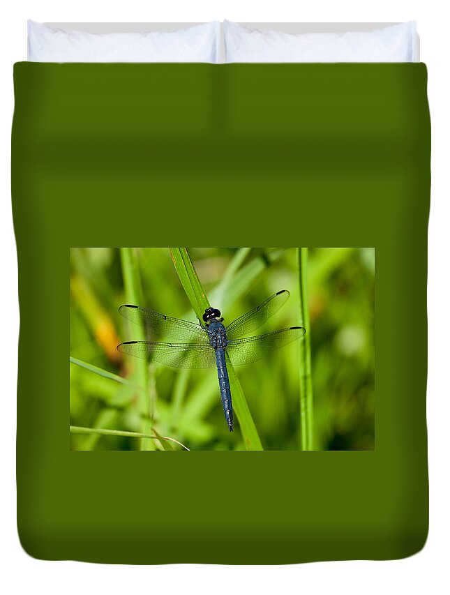 Insect Duvet Cover featuring the photograph Just Resting by Karol Livote