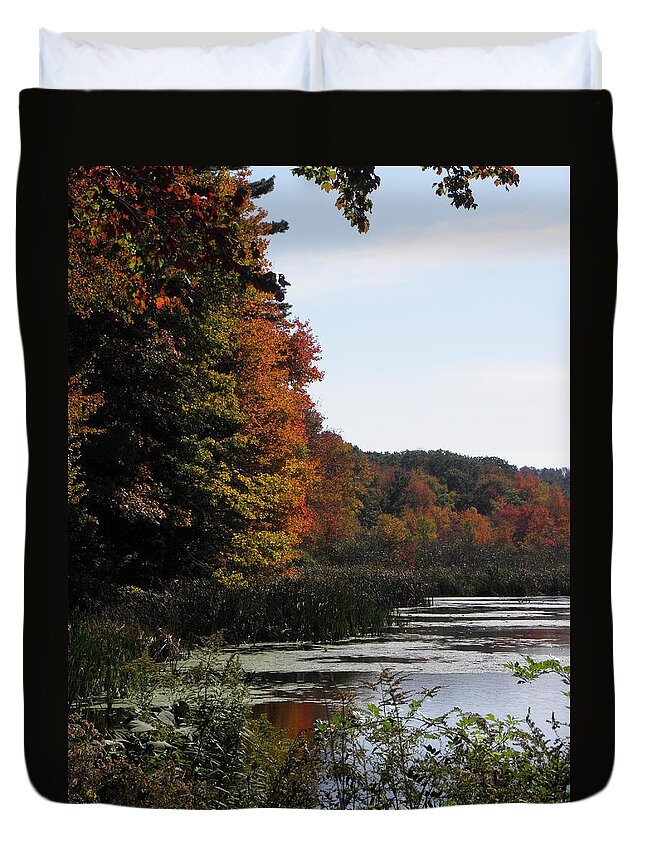 Autumn Duvet Cover featuring the photograph Just simple Beauty by Kim Galluzzo