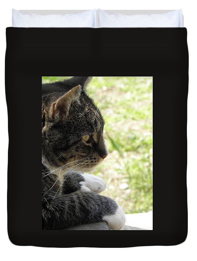 Kitty Duvet Cover featuring the photograph Kitty Fazing Out by Kim Galluzzo
