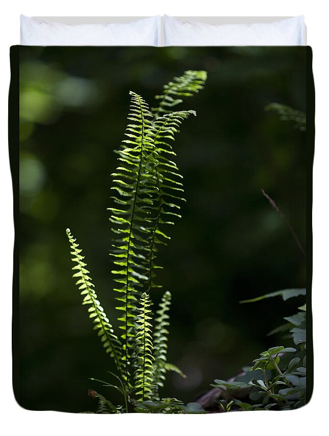 Fern Duvet Cover featuring the photograph Lacy Wild Alabama Fern by Kathy Clark