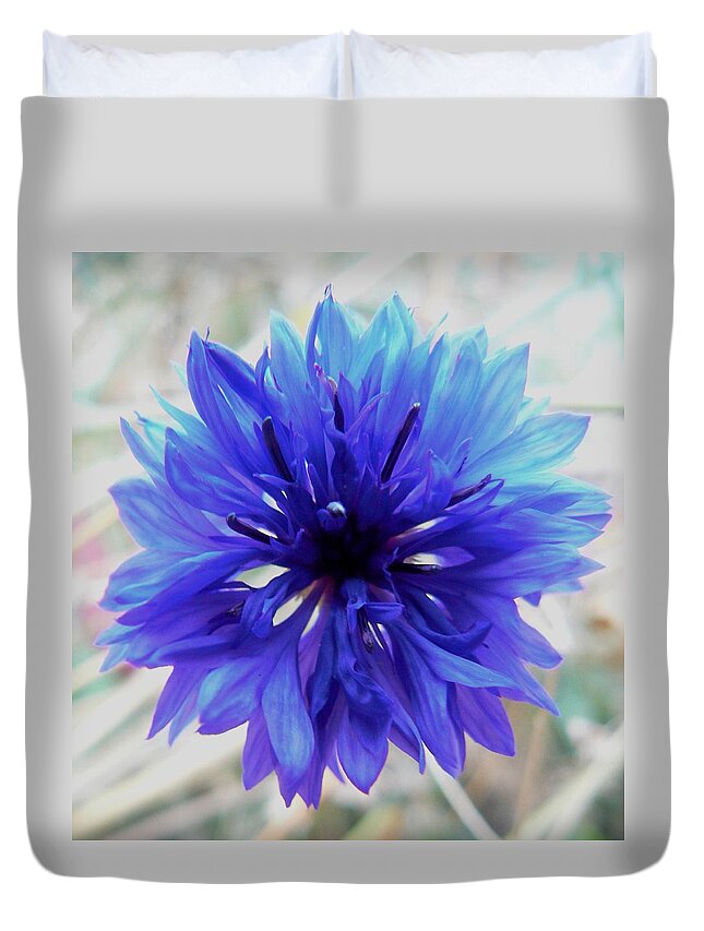 Lapis Duvet Cover featuring the photograph Lapis Lazuli by Barbara St Jean