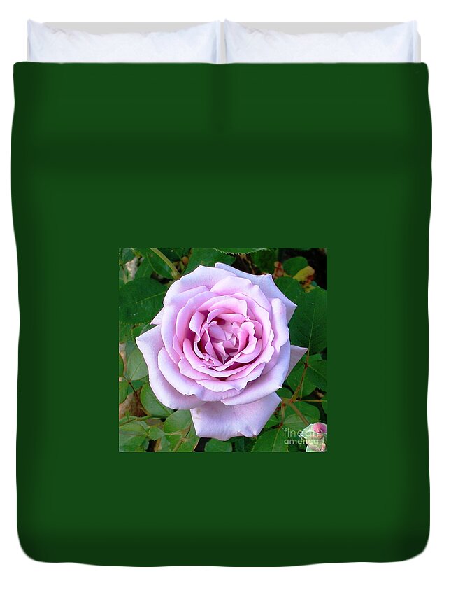 Rose Duvet Cover featuring the photograph Lavendar Rose by Alys Caviness-Gober
