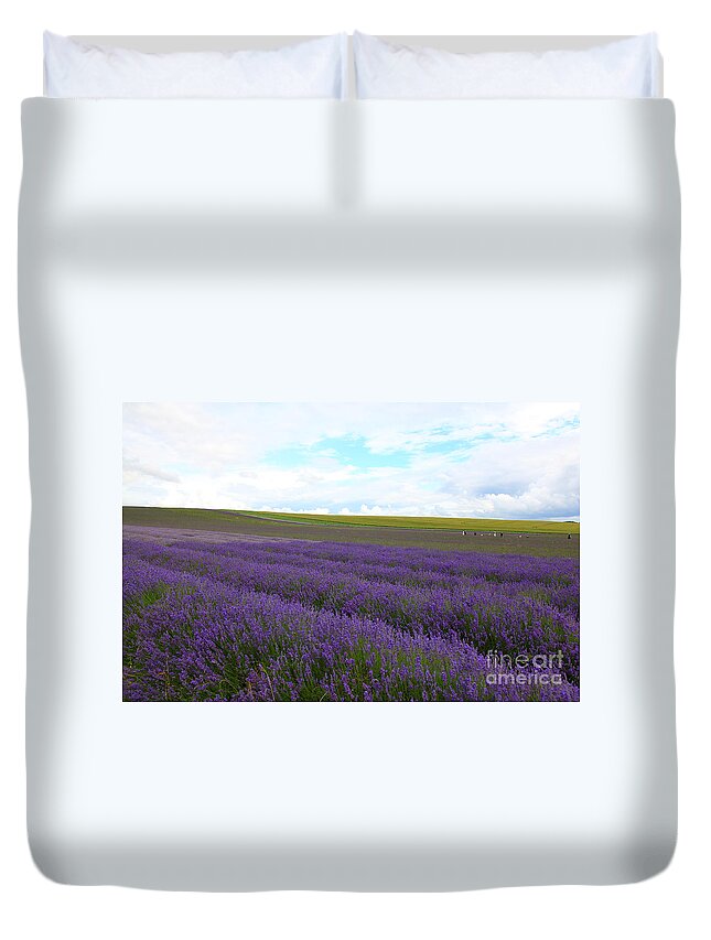 Lavender Duvet Cover featuring the photograph Lavenders by Milena Boeva