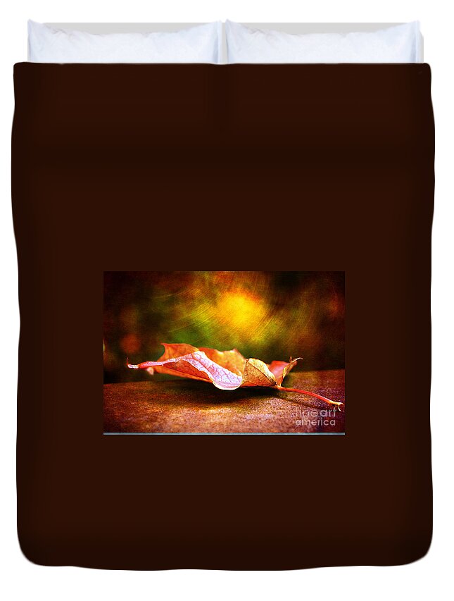 Autumn Duvet Cover featuring the photograph Leaf Votex by Elaine Manley