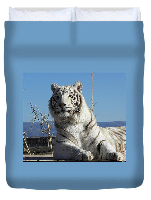 White Duvet Cover featuring the photograph Leaning Pose by Kim Galluzzo