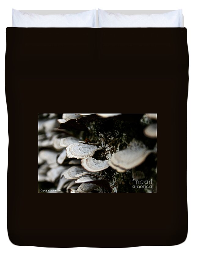Tree Duvet Cover featuring the photograph Life After Death by Susan Herber