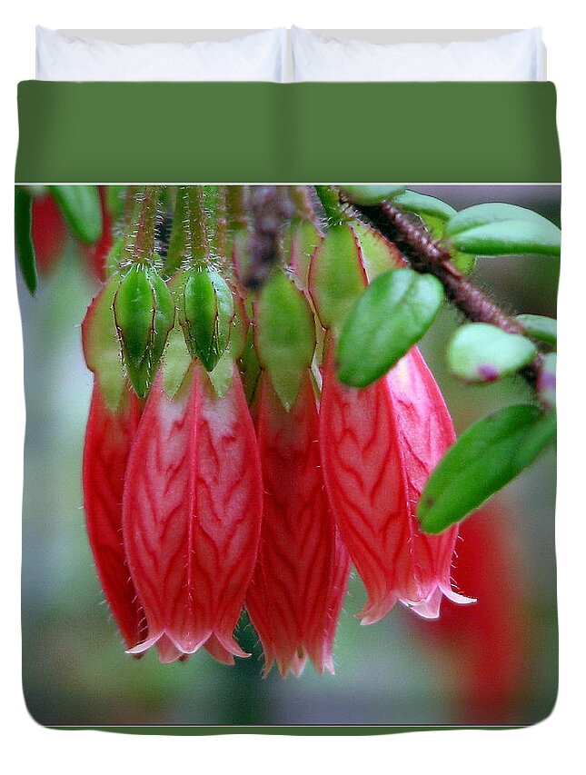  Like Little Red Chinese Lanterns Duvet Cover featuring the photograph Like Little Chinese Lanterns by Chris Anderson