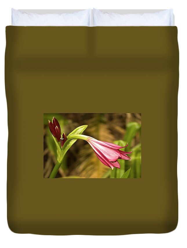 Lily Duvet Cover featuring the photograph Lily in Pink by Carolyn Marshall