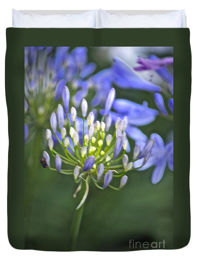 Agapanthus Duvet Cover featuring the photograph Lily of the Nile by Gwyn Newcombe