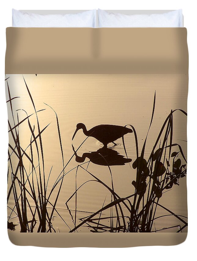 Nature Duvet Cover featuring the photograph Limpkin at Dawn by Peggy Urban