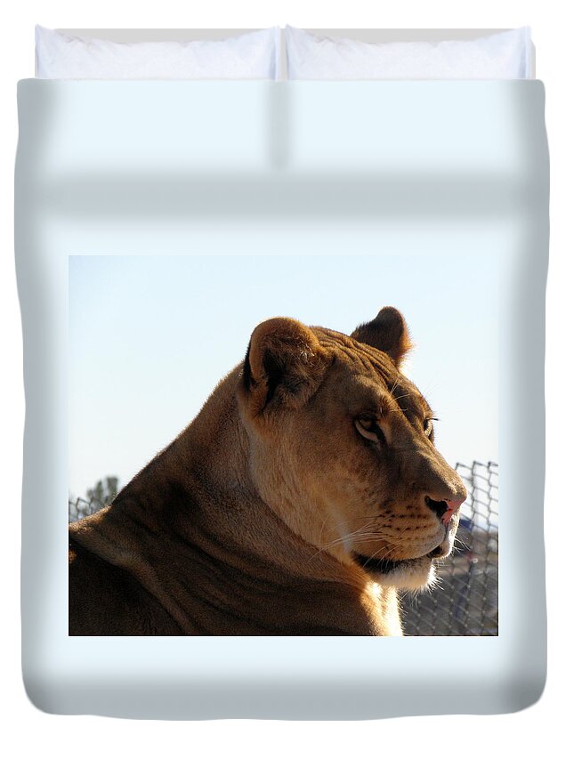Lion Duvet Cover featuring the photograph Lion by Kim Galluzzo