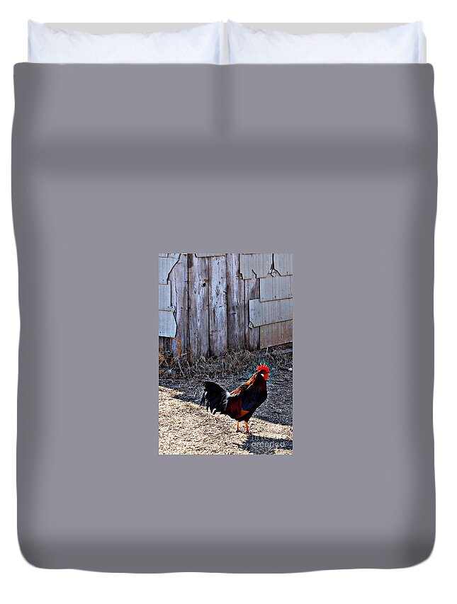 Rooster Duvet Cover featuring the photograph Little Red Rooster by Anjanette Douglas