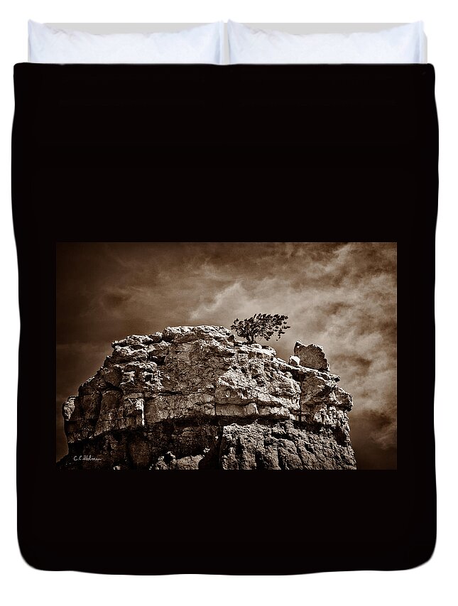 Monochrome Duvet Cover featuring the photograph Lofty Solitude - Sepia by Christopher Holmes