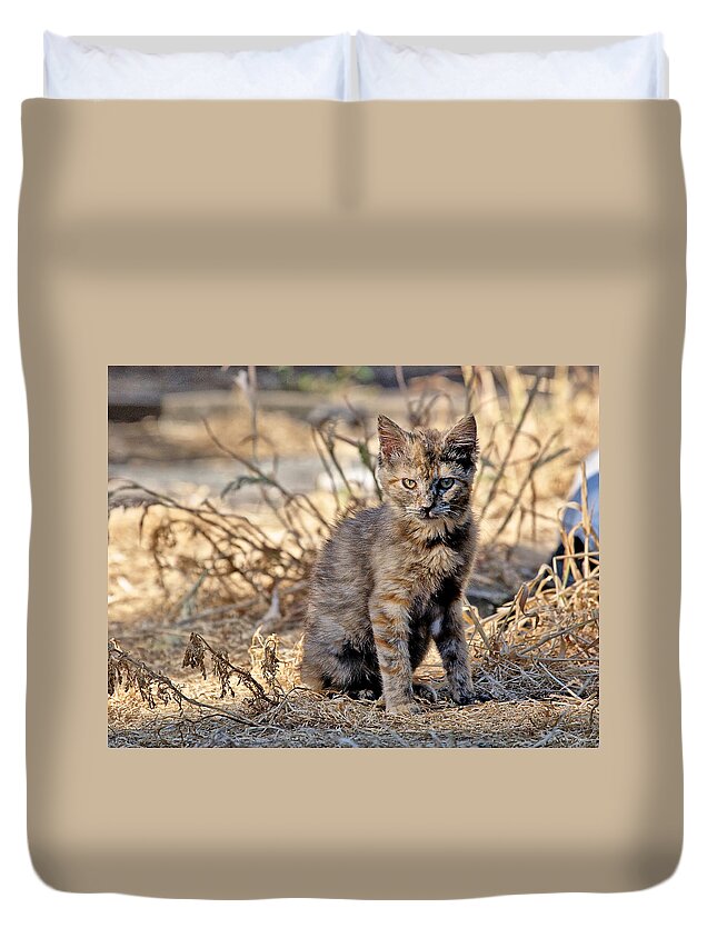 Photo Duvet Cover featuring the photograph Lone Feral Kitten by Chriss Pagani