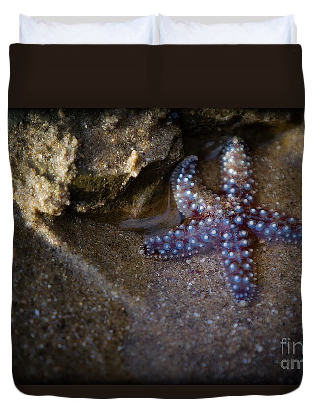San Diego Duvet Cover featuring the photograph Lone Seastar by Doug Sturgess