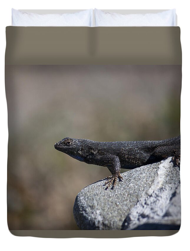 Salamander Duvet Cover featuring the photograph Look at Me by Ivete Basso Photography