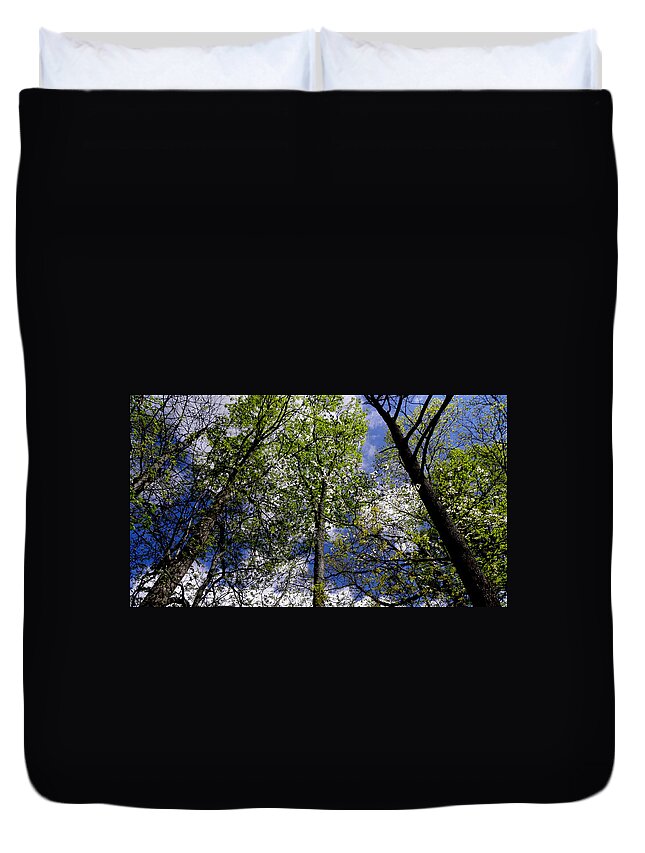 Trees Duvet Cover featuring the photograph Look Up by Kim Galluzzo