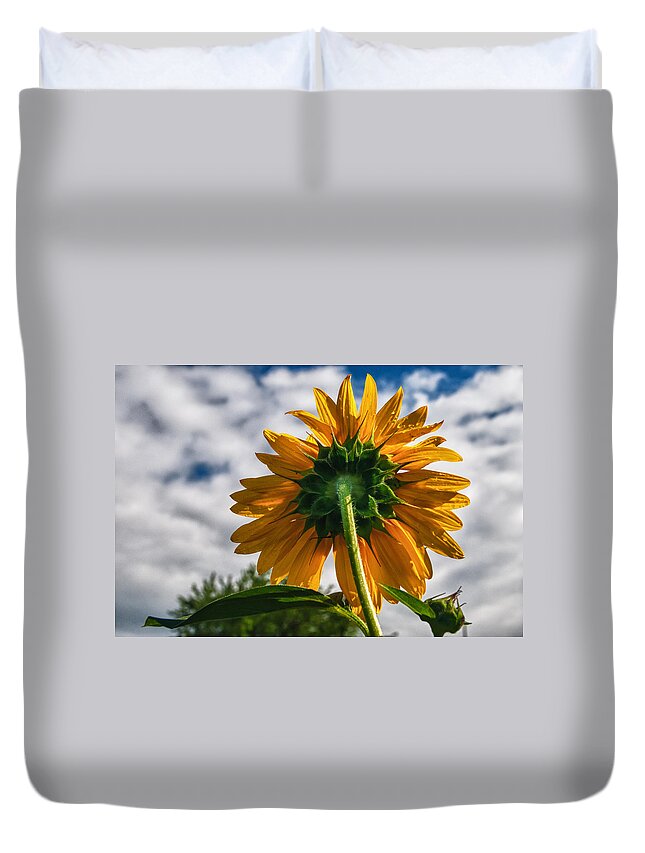 Flowers Duvet Cover featuring the photograph Looking To the Sky by Guy Whiteley