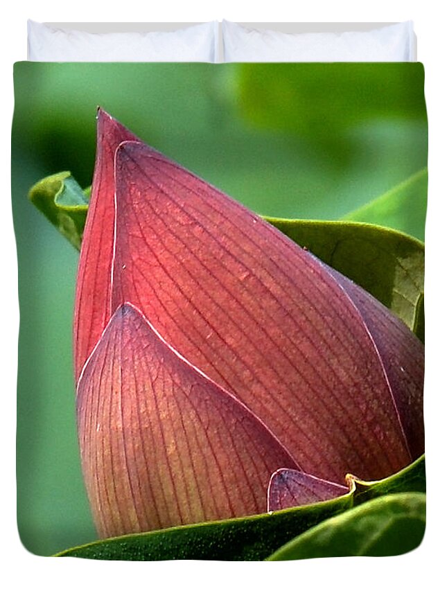 Nature Duvet Cover featuring the photograph Lotus Bud--Bud in a Blanket DL049 by Gerry Gantt